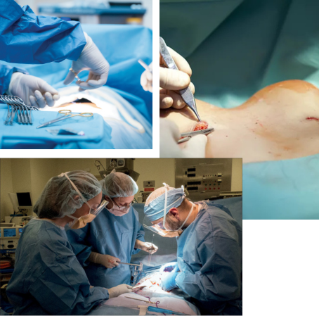 Stay Healthy During Pregnancy