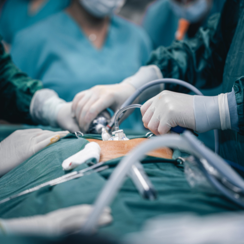 Dr. Prasenjeet Kumar Mondal