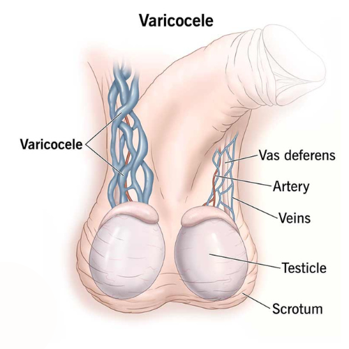 Dr. Prasenjeet Kumar Mondal