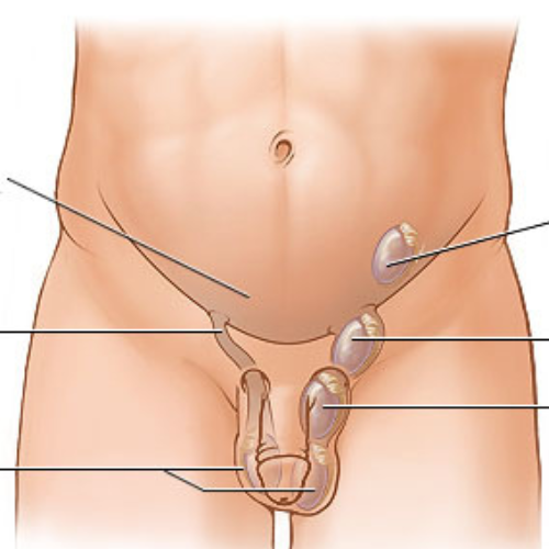 Dr. Prasenjeet Kumar Mondal