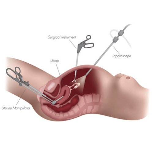 Dr. Prasenjeet Kumar Mondal